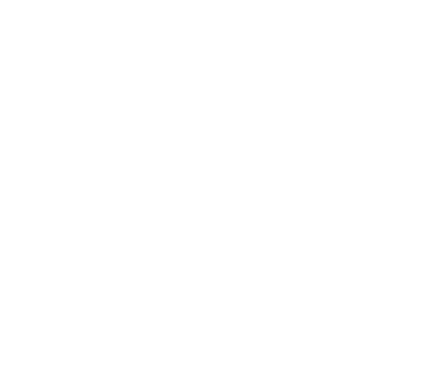 APT